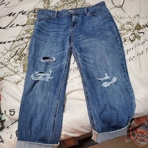 Brand new w/o tags capris